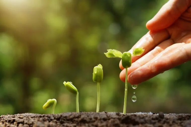 C&oacute;mo Seleccionar un Predio para Agricultura: El Arte de No Sembrar en el Desierto