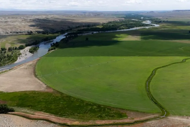 Imagen de Derechos de Agua para Predios Agr&iacute;colas: Gu&iacute;a Completa para Inversores en USA